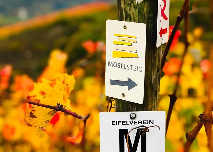 Apartamento Mosel Quartier 32 *